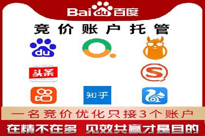 网站SEM托管优化策略及成功案例